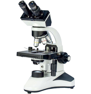 Binocular Microscope